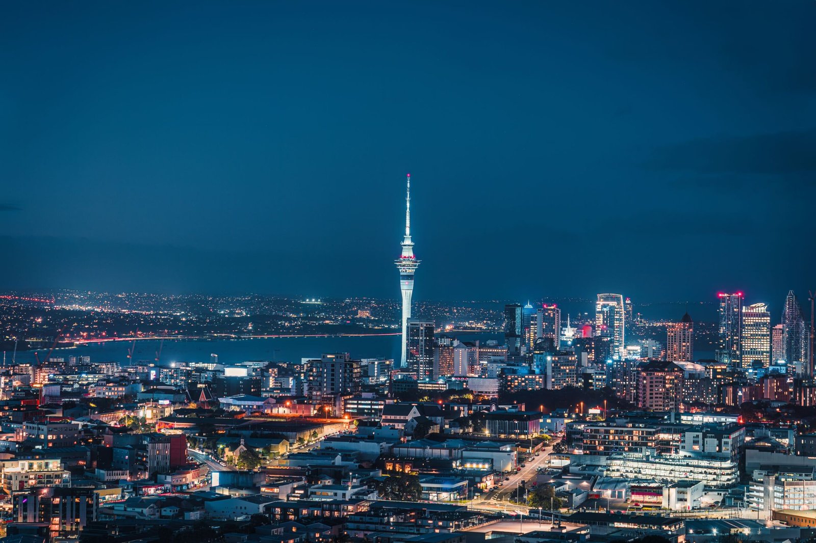 Your Gateway to  <span> New Business Opportunities</span> 